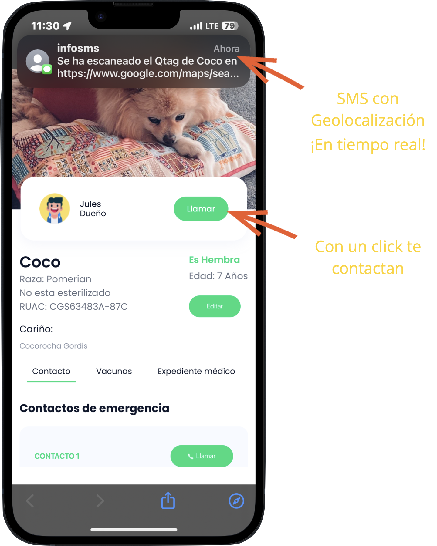 SMS_Pet_Q-Help